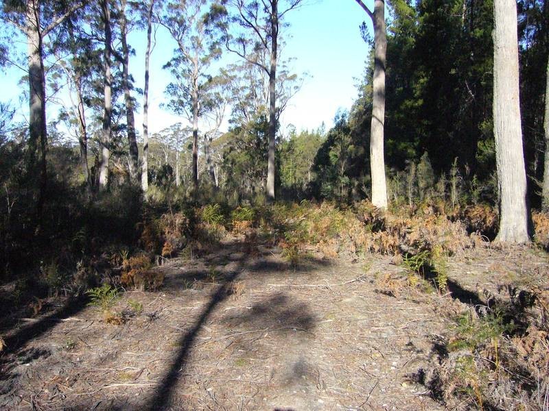 0 Felmingaham Road, Parkham TAS 7304