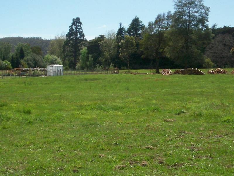 5 Champ Street, Latrobe TAS 7307