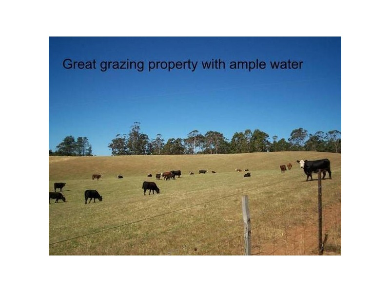 1540 Wilmot Road, Lower Wilmot TAS 7310