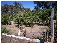 13 Marana Drive, Bakers Beach TAS 7307
