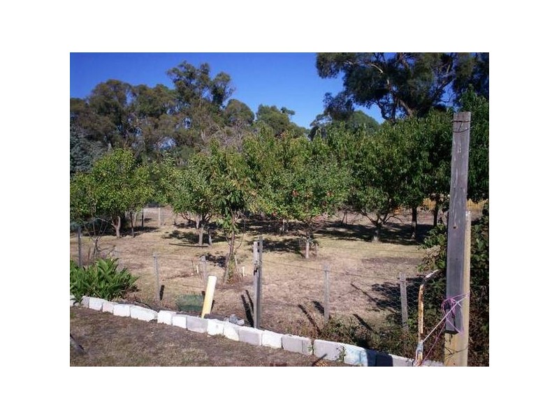 13 Marana Drive, Bakers Beach TAS 7307