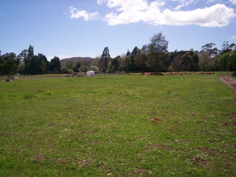5 Champ Street, Latrobe TAS 7307