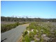 Lot 0,  Felmingham Road, Parkham TAS 7304