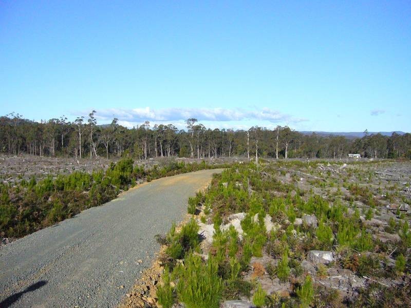 Lot 0,  Felmingham Road, Parkham TAS 7304