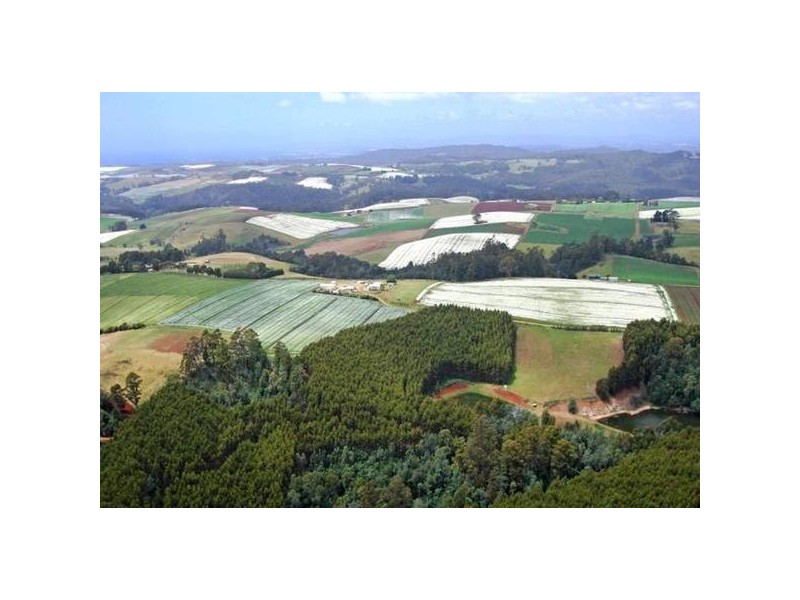 46 Chuggs Road, Forth TAS 7310