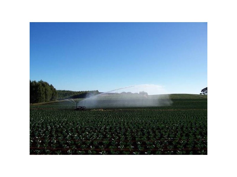 46 Chuggs Road, Forth TAS 7310