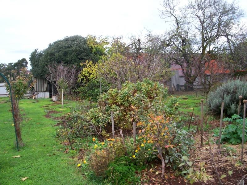 35 Middle Road, Devonport TAS 7310