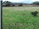 6228 Bass Highway, Elizabeth Town TAS 7304