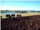 229 Oppen Heims Road, Moriarty TAS 7307
