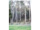 229 Melrose Road, Aberdeen TAS 7310