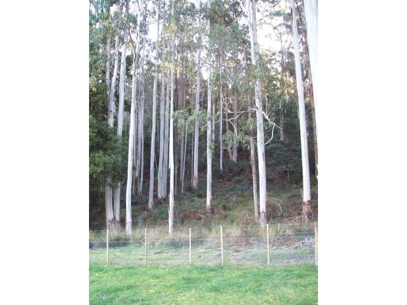 229 Melrose Road, Aberdeen TAS 7310