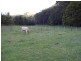 229 Melrose Road, Aberdeen TAS 7310