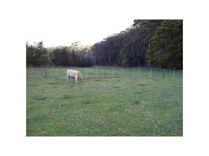 229 Melrose Road, Aberdeen TAS 7310