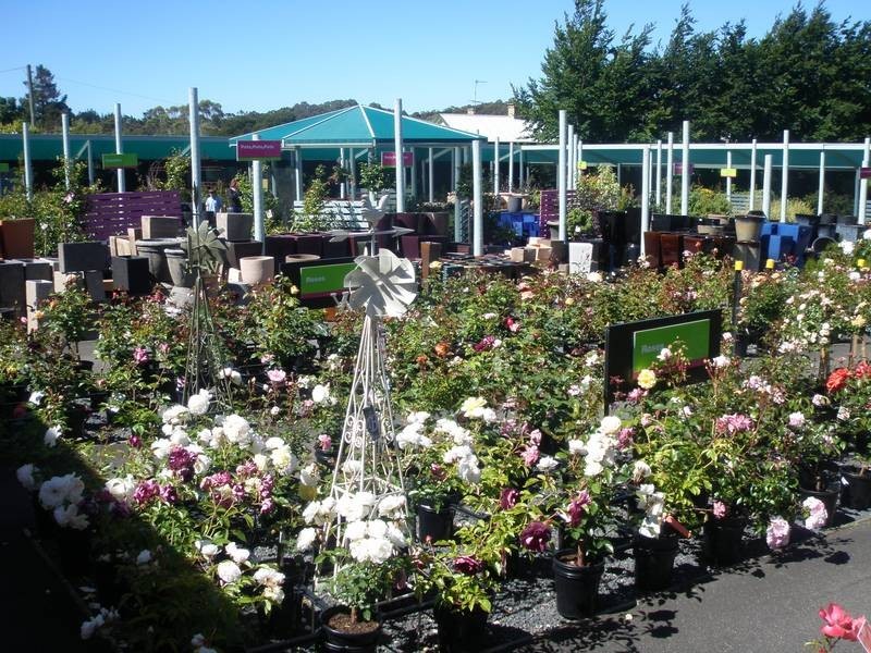 31 Forth Road, Devonport TAS 7310