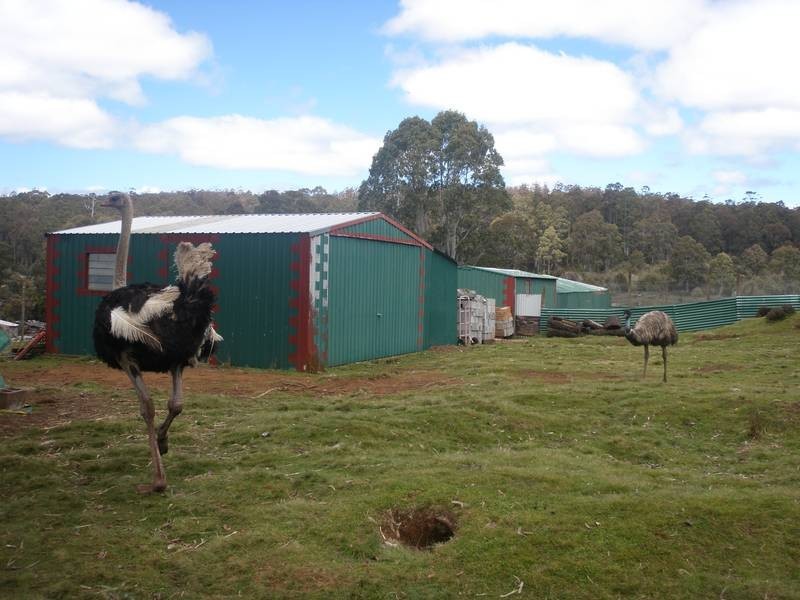 2369 Cradle Mountain Road, Cradle Mountain TAS 7306