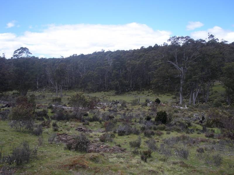 2369 Cradle Mountain Road, Cradle Mountain TAS 7306