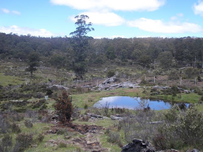 2369 Cradle Mountain Road, Cradle Mountain TAS 7306