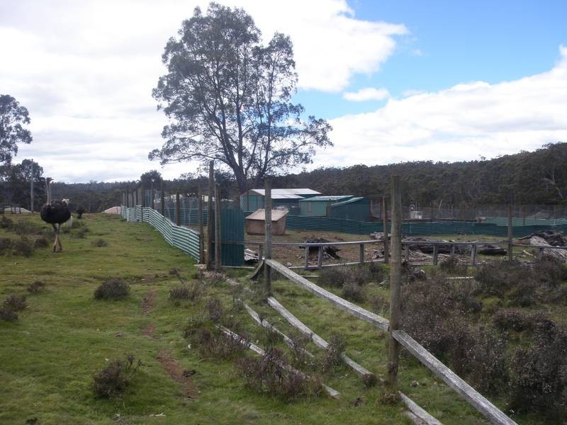 2369 Cradle Mountain Road, Cradle Mountain TAS 7306