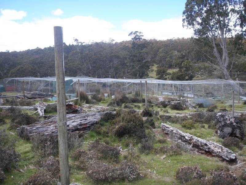 2369 Cradle Mountain Road, Cradle Mountain TAS 7306
