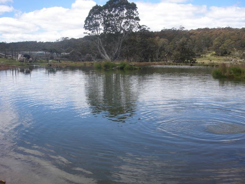 2369 Cradle Mountain Road, Cradle Mountain TAS 7306