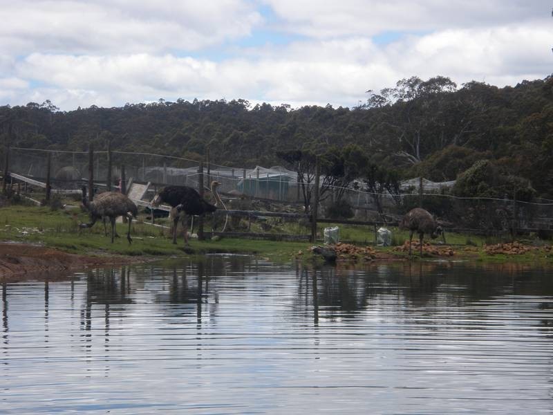 2369 Cradle Mountain Road, Cradle Mountain TAS 7306