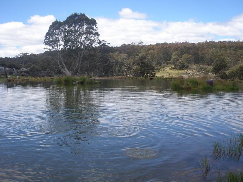 2369 Cradle Mountain Road, Cradle Mountain TAS 7306