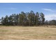 Highland Lakes Road, Deloraine TAS 7304
