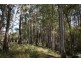 Highland Lakes Road, Deloraine TAS 7304
