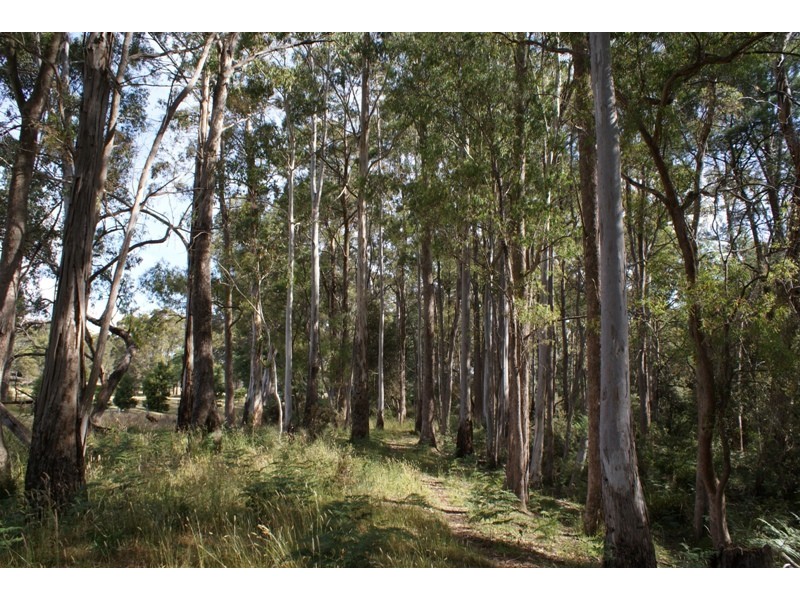 Highland Lakes Road, Deloraine TAS 7304