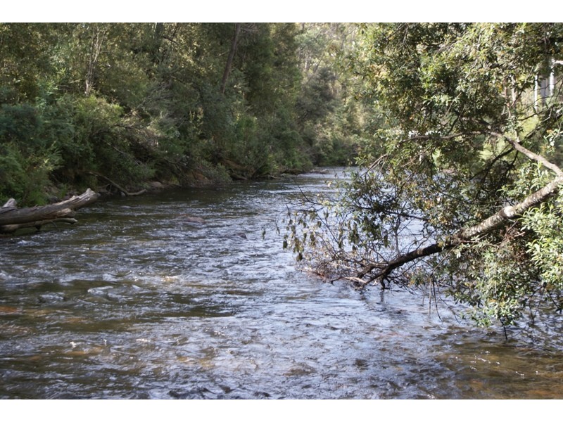 Highland Lakes Road, Deloraine TAS 7304