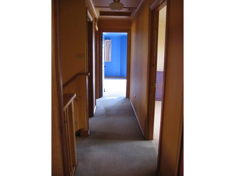 201 Brodies Road, Golden Valley TAS 7304