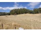 269a Caveside Road, Mole Creek TAS 7304
