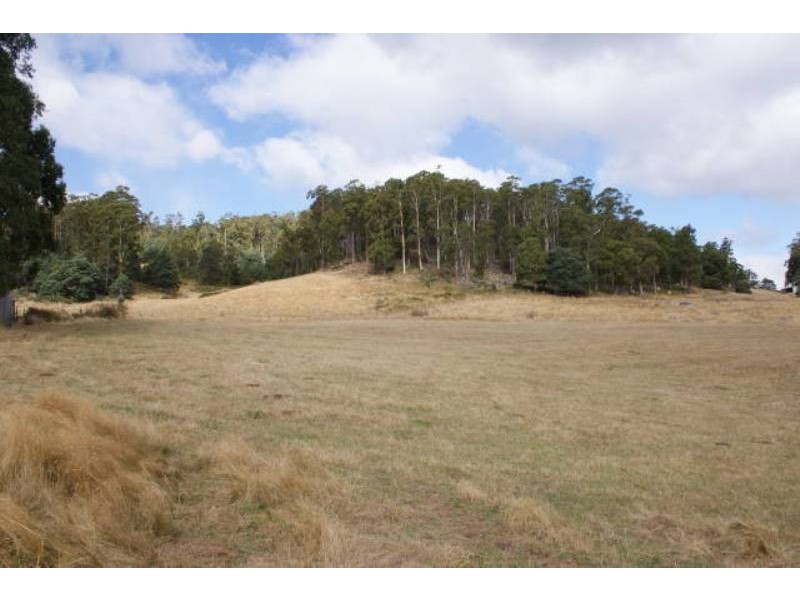 269r Caveside Road, Mole Creek TAS 7304