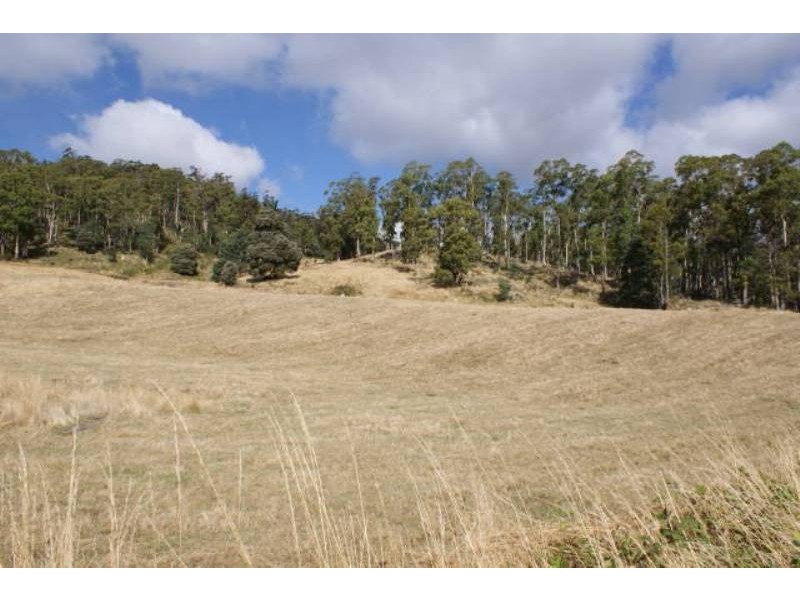 269r Caveside Road, Mole Creek TAS 7304