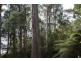 - Bogan Road, Golden Valley TAS 7304
