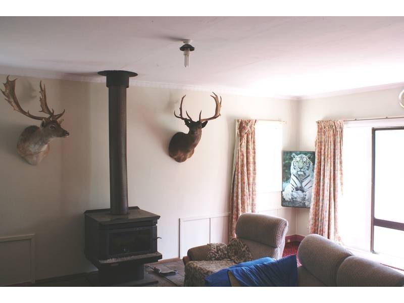 36 Wadleys Road, Reedy Marsh TAS 7304