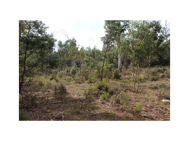 36 Wadleys Road, Reedy Marsh TAS 7304