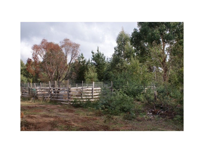 36 Wadleys Road, Reedy Marsh TAS 7304