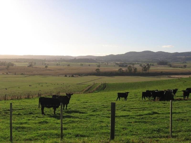 6236 Bass Highway, Elizabeth Town TAS 7304