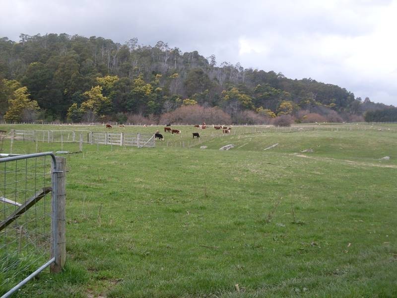 20 Den Road, Mole Creek TAS 7304