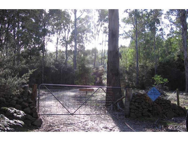 490 Larcombes Road, Reedy Marsh TAS 7304