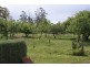 10 Bonney Street, Elizabeth Town TAS 7304