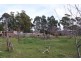 10 Bonney Street, Elizabeth Town TAS 7304