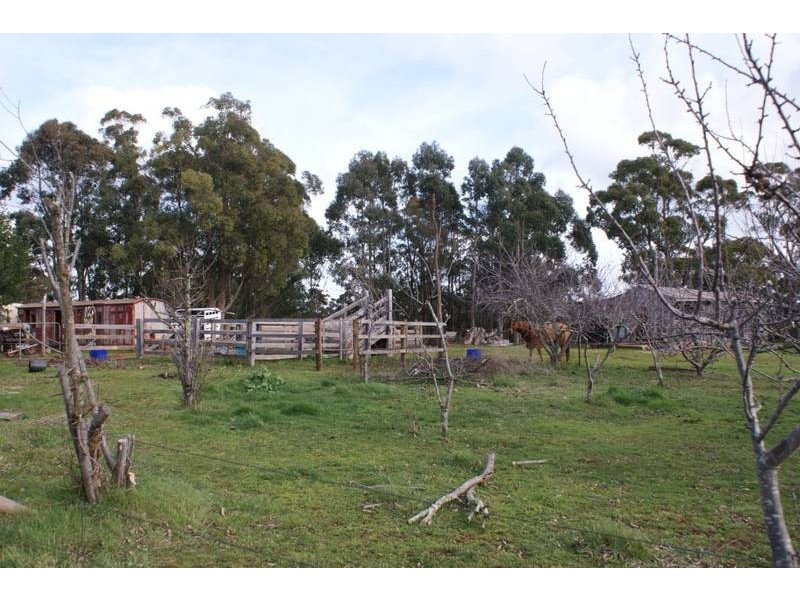 10 Bonney Street, Elizabeth Town TAS 7304