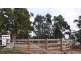 10 Bonney Street, Elizabeth Town TAS 7304