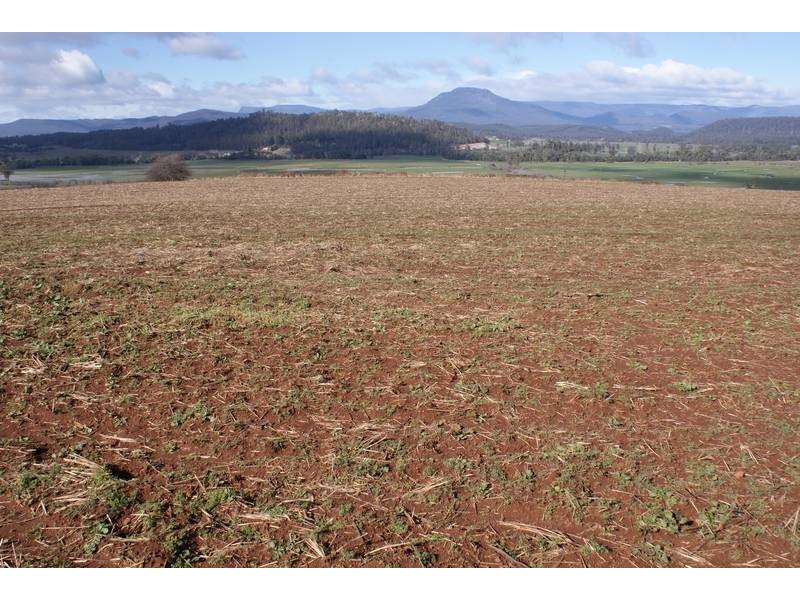 169 Mole Creek Road, Deloraine TAS 7304