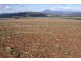 169 Mole Creek Road, Deloraine TAS 7304