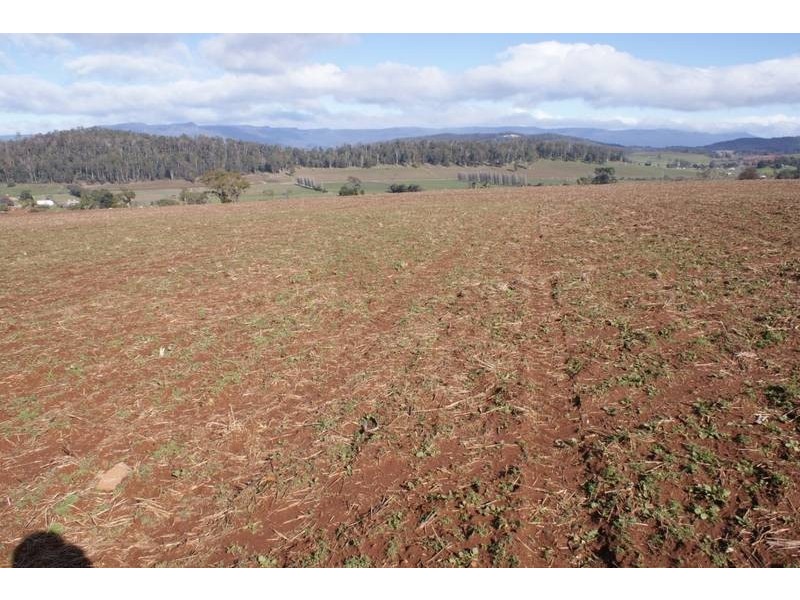 169 Mole Creek Road, Deloraine TAS 7304