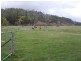 20 Den Road (R), Mole Creek TAS 7304