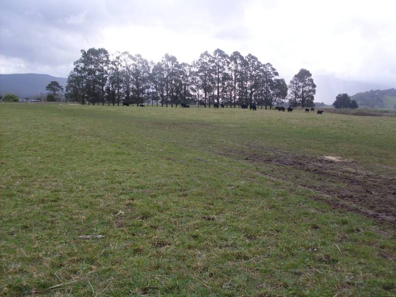 20 Den Road (R), Mole Creek TAS 7304